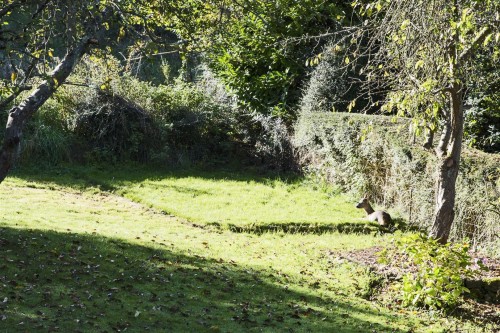 Hantone Hill, Bathampton, Bath - Photo 11