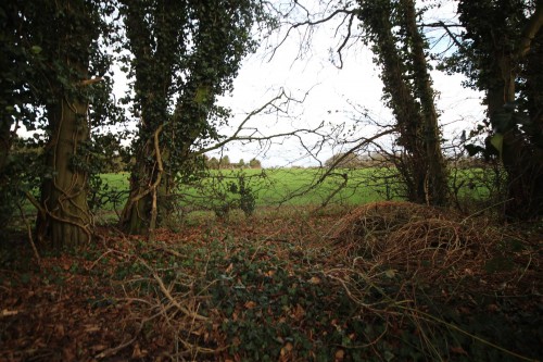 New Road, Reading - Photo 20